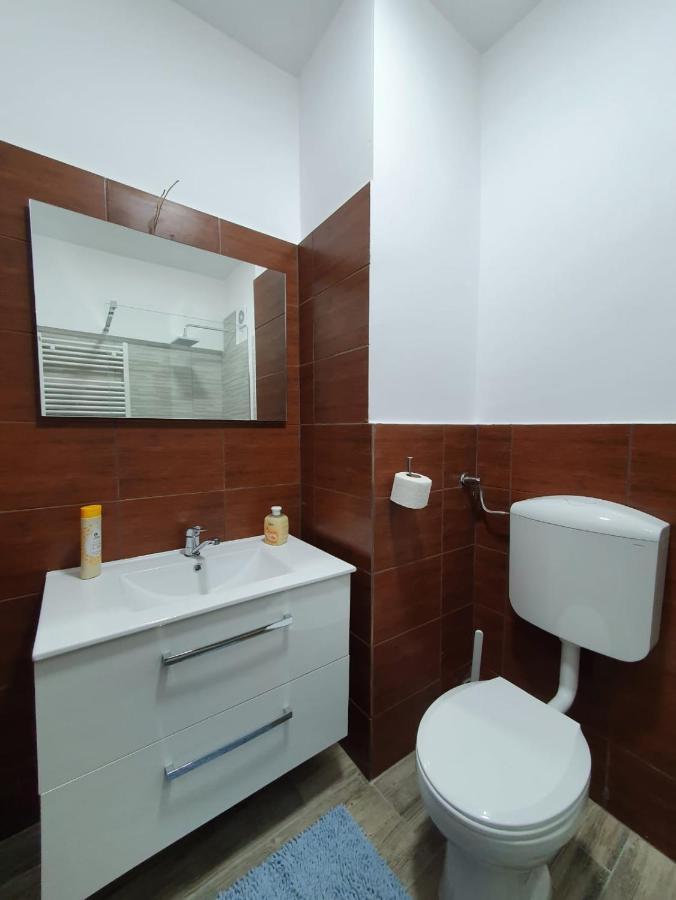 Petrosani Camere De Inchiriat - Hotel Petroshani Srl Εξωτερικό φωτογραφία