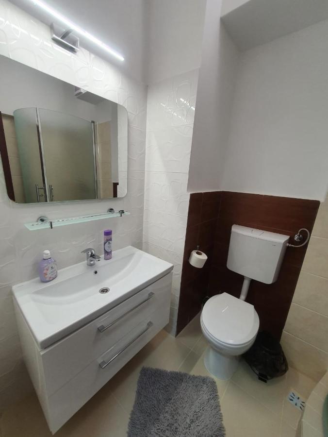 Petrosani Camere De Inchiriat - Hotel Petroshani Srl Εξωτερικό φωτογραφία